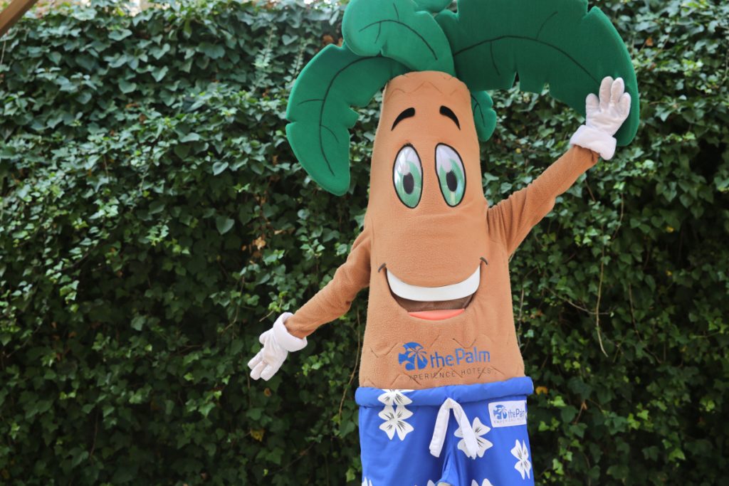 Slider Image Slider Image